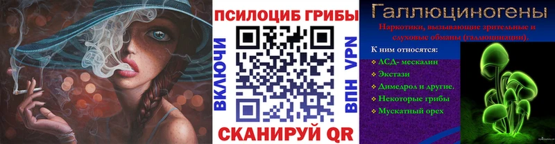 Галлюциногенные грибы ЛСД Сосновый Бор